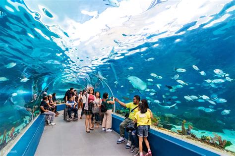 Cebu Ocean Park Ticket .